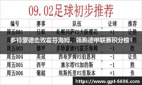 多特蒙德击败霍芬海姆,领跑德甲联赛积分榜!